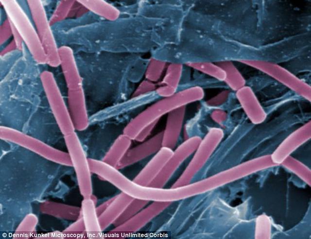 地球超级微生物可能偷渡火星成为新殖民者