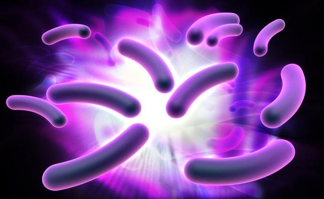 科学家发现吞食电子的细菌 堪称世上最怪食客
