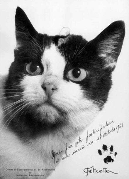图5 亚轨道天文猫