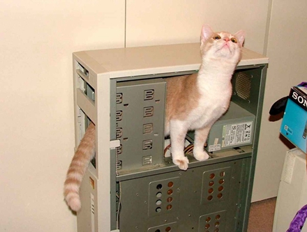 图10 无线电报猫