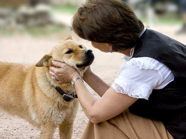 研究表明狗狗确实能听懂人说话