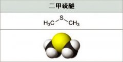 为什么海风有腥味？