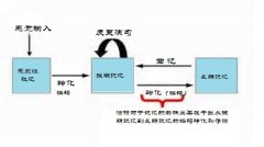 人真的不记得喝醉后发生的事吗？